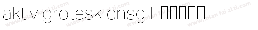 aktiv grotesk cnsg l字体转换